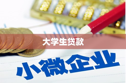 临桂大学生贷款