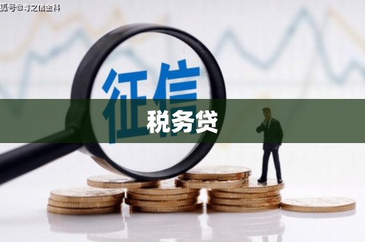 临桂税务贷