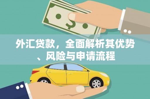 临桂外汇贷款，全面解析其优势、风险与申请流程
