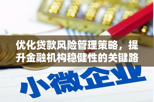 临桂优化贷款风险管理策略，提升金融机构稳健性的关键路径