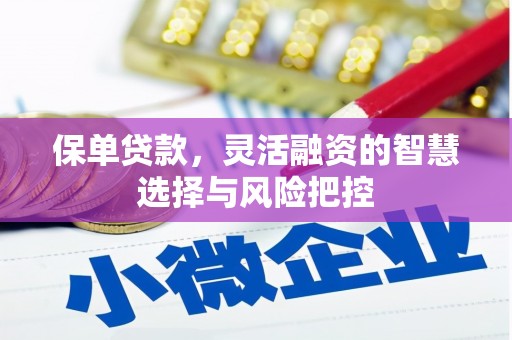 临桂保单贷款，灵活融资的智慧选择与风险把控