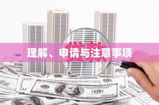 临桂理解、申请与注意事项