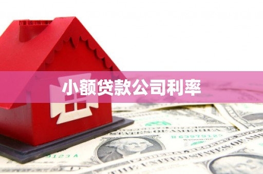 临桂小额贷款公司利率