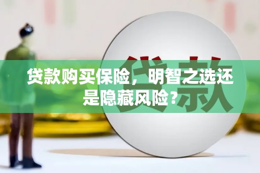 临桂贷款购买保险，明智之选还是隐藏风险？