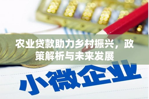 临桂农业贷款助力乡村振兴，政策解析与未来发展