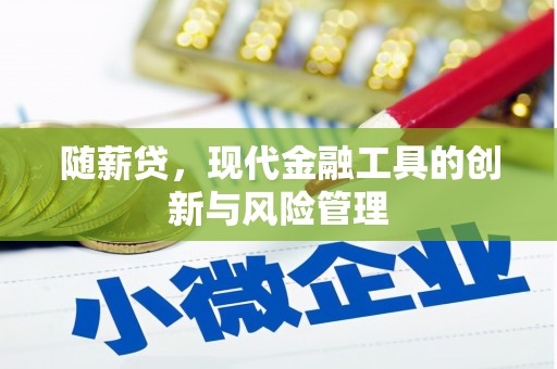 临桂随薪贷，现代金融工具的创新与风险管理