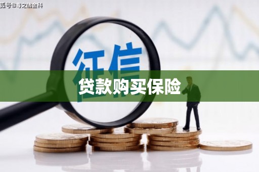 临桂贷款购买保险
