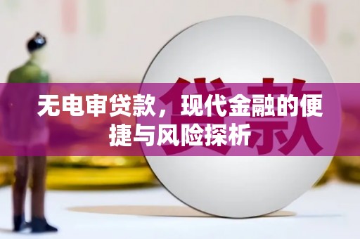临桂无电审贷款，现代金融的便捷与风险探析