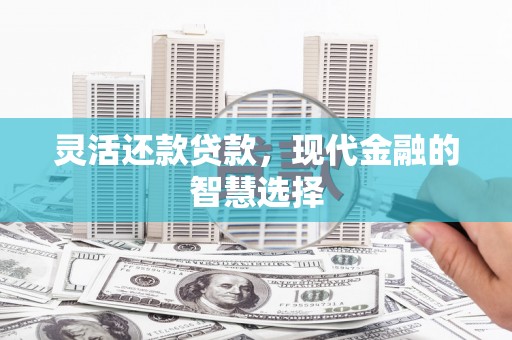 临桂灵活还款贷款，现代金融的智慧选择