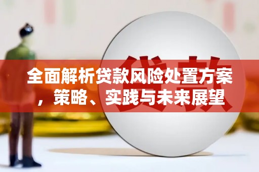 临桂全面解析贷款风险处置方案，策略、实践与未来展望