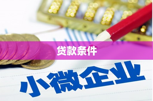 临桂贷款条件