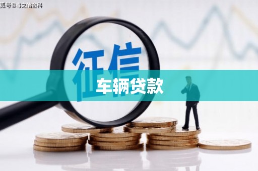 临桂车辆贷款