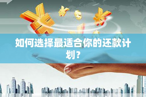 临桂如何选择最适合你的还款计划？