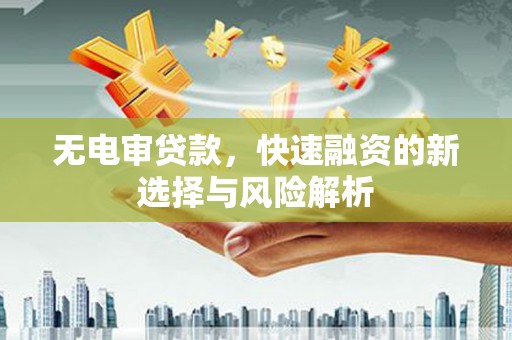 临桂无电审贷款，快速融资的新选择与风险解析