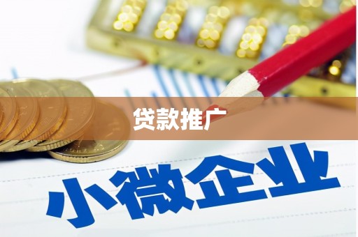 临桂贷款推广