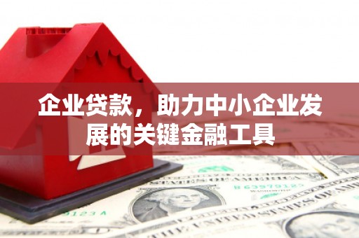 临桂企业贷款，助力中小企业发展的关键金融工具