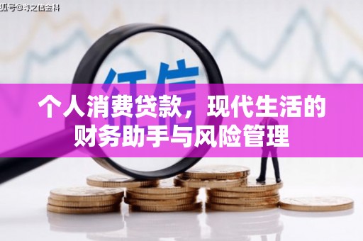 临桂个人消费贷款，现代生活的财务助手与风险管理