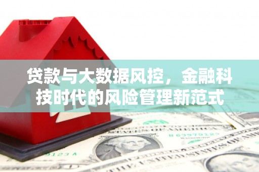 临桂贷款与大数据风控，金融科技时代的风险管理新范式