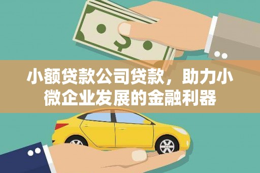 临桂小额贷款公司贷款，助力小微企业发展的金融利器