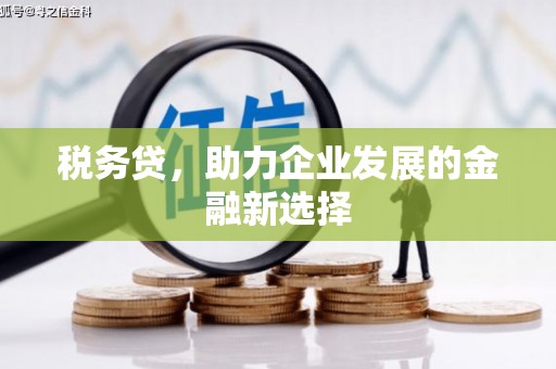 临桂税务贷，助力企业发展的金融新选择