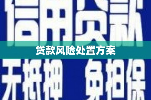 临桂贷款风险处置方案