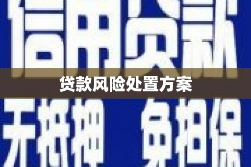 临桂贷款风险处置方案
