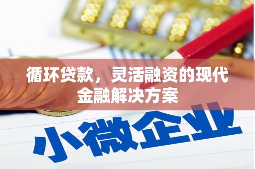 临桂循环贷款，灵活融资的现代金融解决方案