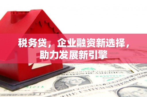临桂税务贷，企业融资新选择，助力发展新引擎
