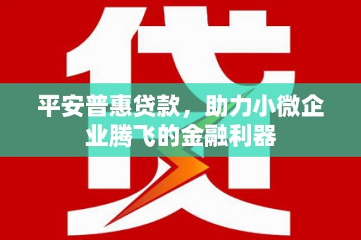 临桂平安普惠贷款，助力小微企业腾飞的金融利器