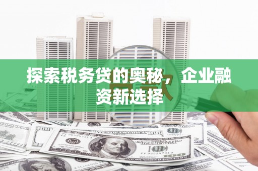 临桂探索税务贷的奥秘，企业融资新选择
