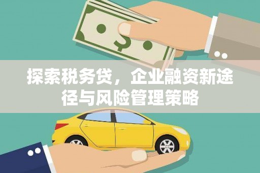临桂探索税务贷，企业融资新途径与风险管理策略