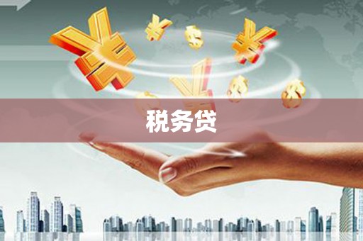 临桂税务贷
