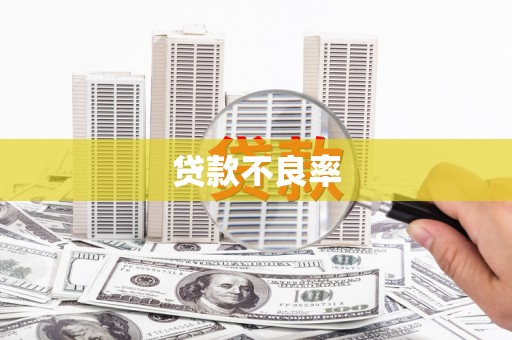 临桂贷款不良率