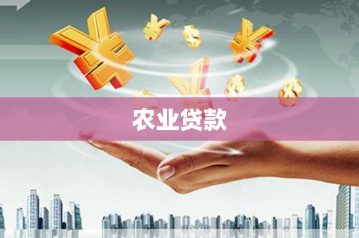 临桂农业贷款