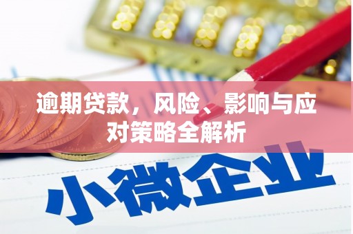 临桂逾期贷款，风险、影响与应对策略全解析