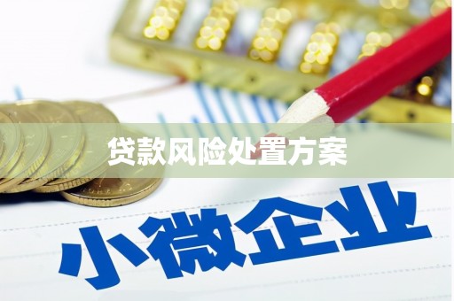临桂贷款风险处置方案