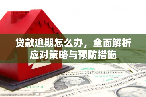 临桂贷款逾期怎么办，全面解析应对策略与预防措施