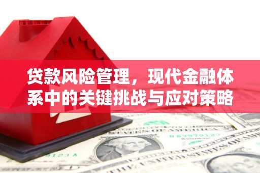 临桂贷款风险管理，现代金融体系中的关键挑战与应对策略