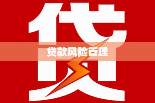 临桂贷款风险管理