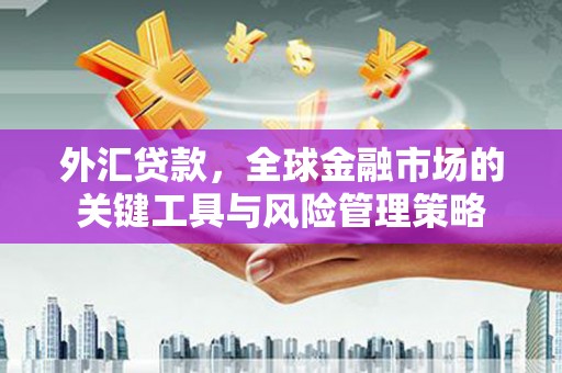 临桂外汇贷款，全球金融市场的关键工具与风险管理策略
