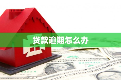 临桂贷款逾期怎么办