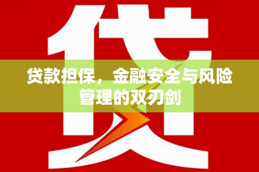 临桂贷款担保，金融安全与风险管理的双刃剑