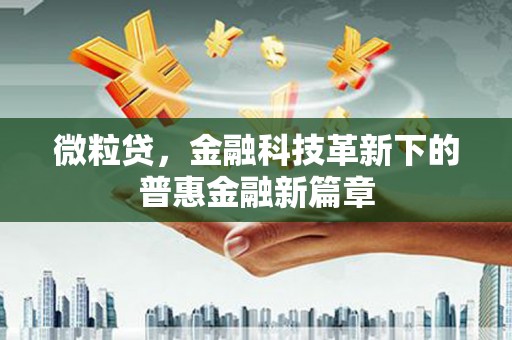 临桂微粒贷，金融科技革新下的普惠金融新篇章