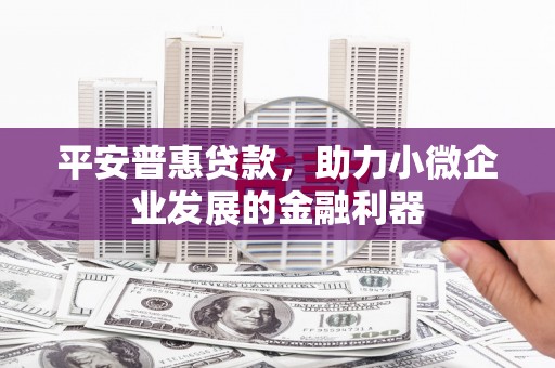 临桂平安普惠贷款，助力小微企业发展的金融利器