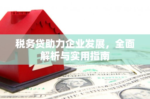 临桂税务贷助力企业发展，全面解析与实用指南