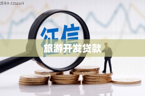 临桂旅游开发贷款