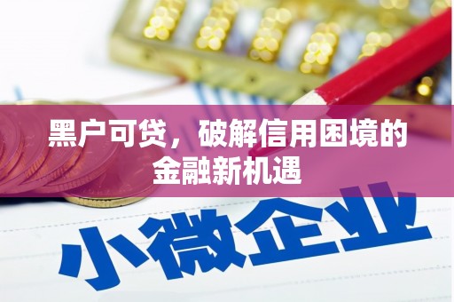 临桂黑户可贷，破解信用困境的金融新机遇