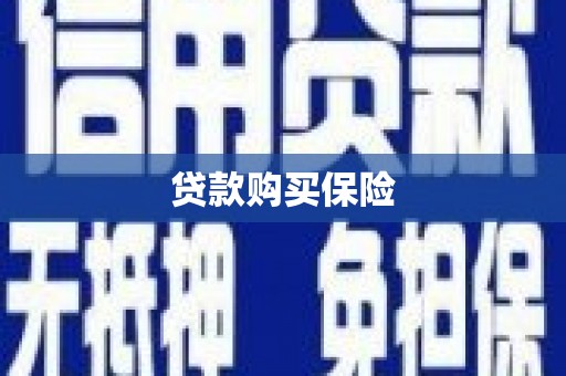 临桂贷款购买保险