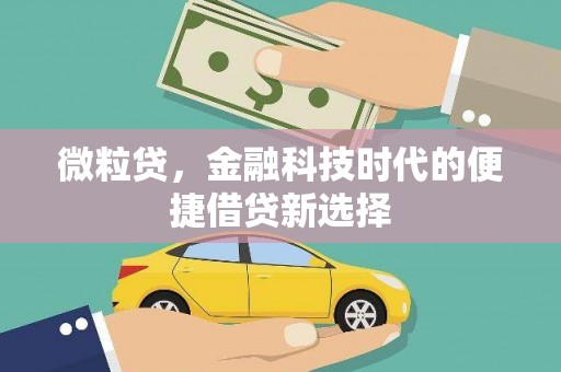 临桂微粒贷，金融科技时代的便捷借贷新选择