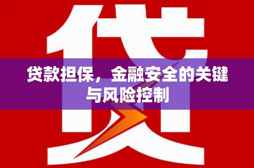 临桂贷款担保，金融安全的关键与风险控制
